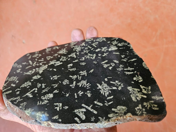 Polished Chinese Writing Stone slab CW119