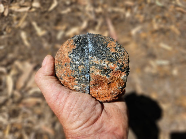 Pair of polished Orbicular Granite. OG184