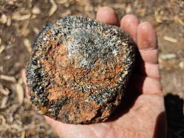 Pair of polished Orbicular Granite. OG184