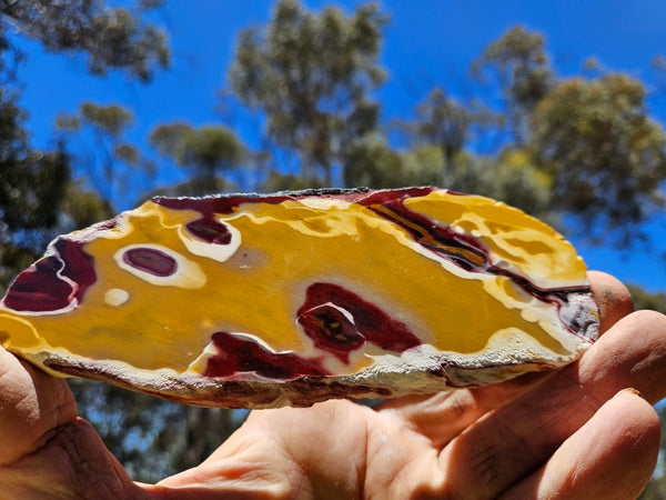 Polished Mookaite slab MK435