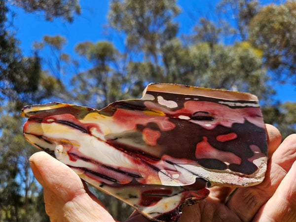 Polished Mookaite slab MK436