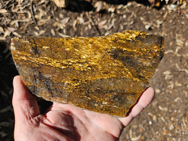 Polished Golden Amphibolite slab GA159