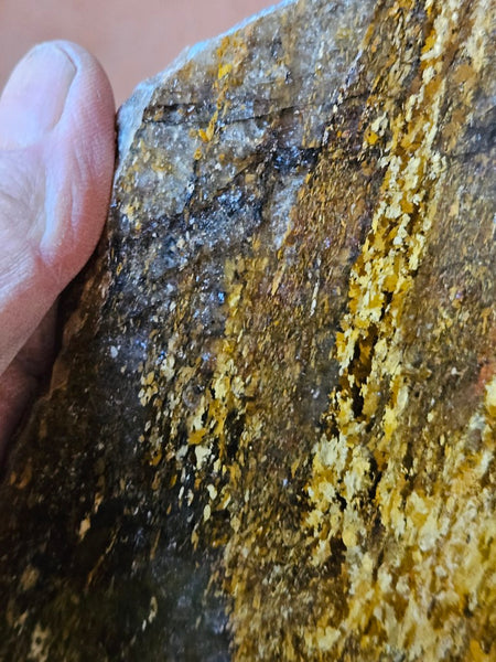 Polished Golden Amphibolite slab GA159