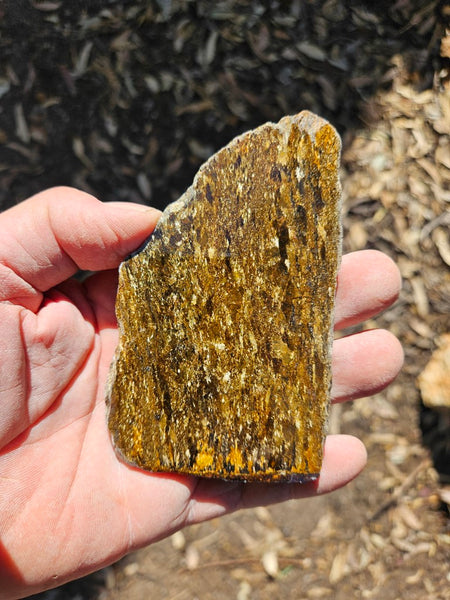 Polished Golden Amphibolite slab GA157