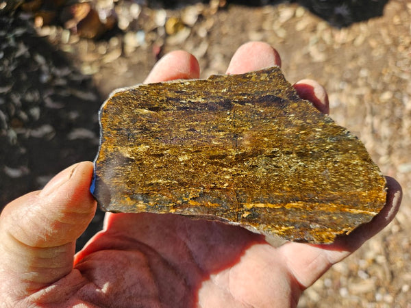 Polished Golden Amphibolite slab GA158