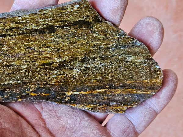 Polished Golden Amphibolite slab GA158