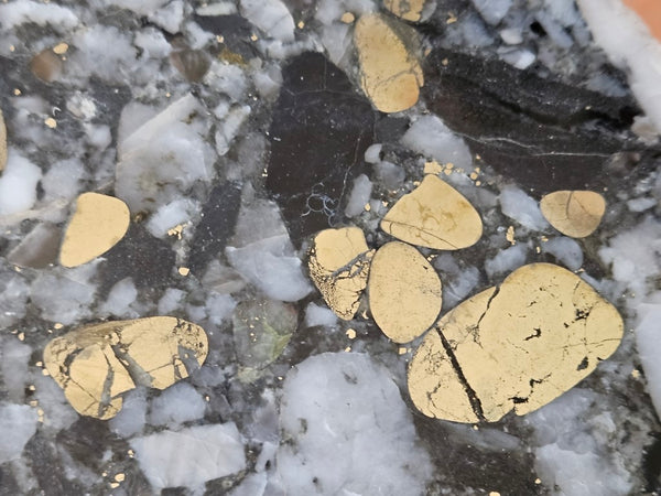 Polished Beaton's Creek auriferous conglomerate slab BC101