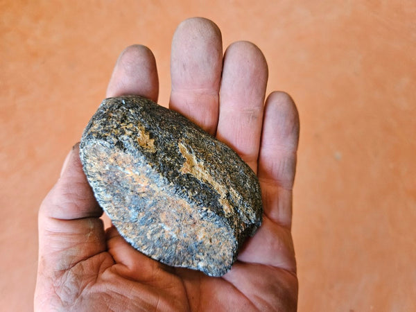 Polished Orbicular Granite. OG185