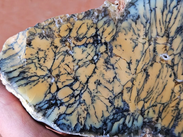Polished Dendritic Opal slab DO192