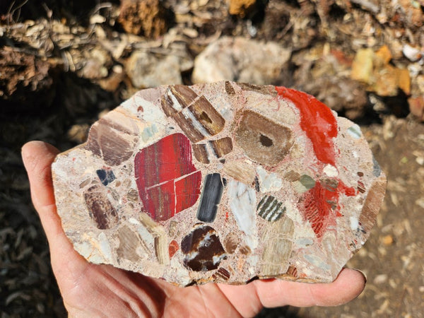 Polished Marillana Conglomerate slab MC114