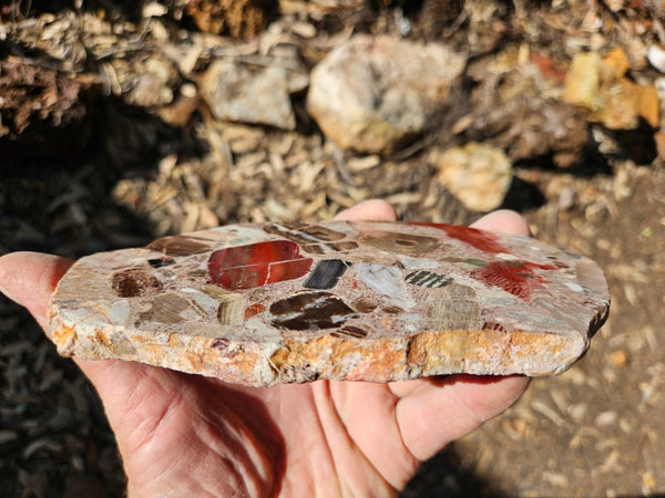 Polished Marillana Conglomerate slab MC114