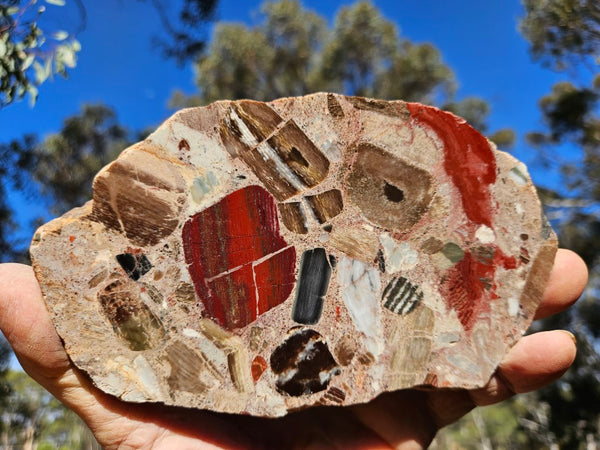 Polished Marillana Conglomerate slab MC114