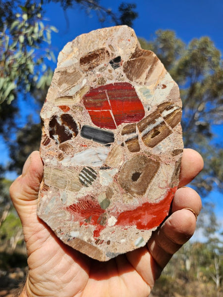 Polished Marillana Conglomerate slab MC114