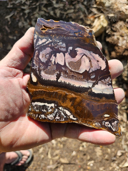 Polished Outback Jasper slab OJ172