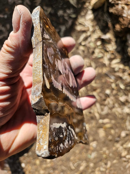 Polished Outback Jasper slab OJ172