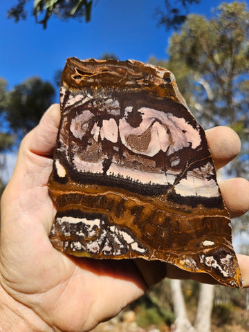 Polished Outback Jasper slab OJ172