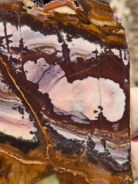 Polished Outback Jasper slab OJ173