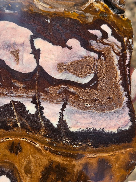 Polished Outback Jasper slab OJ174