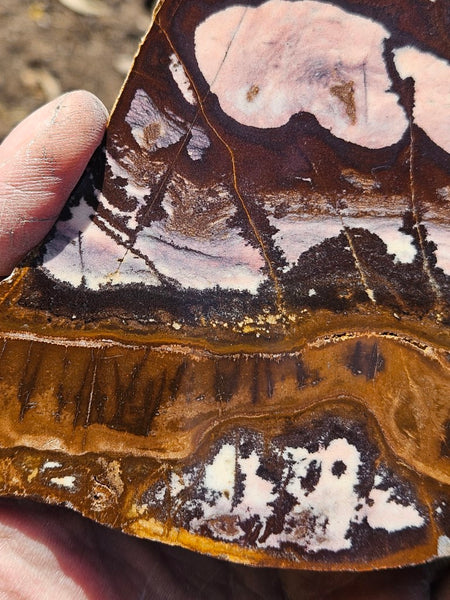 Polished Outback Jasper slab OJ174