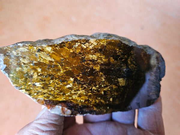Polished Golden Amphibolite GA161