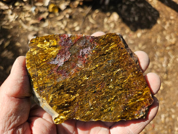 Polished Golden Amphibolite slab GA162