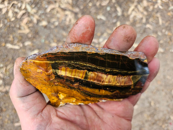 Polished Tiger Eye slab TE391