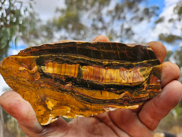 Polished Tiger Eye slab TE391