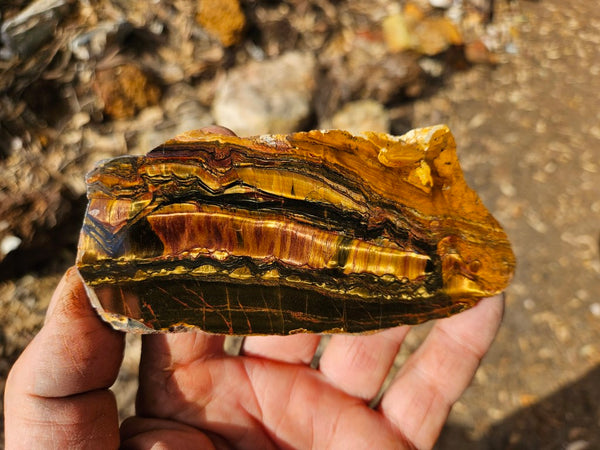 Polished Tiger Eye slab TE391