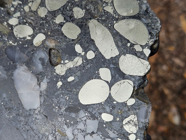 Polished Beaton's Creek auriferous conglomerate slab BC102