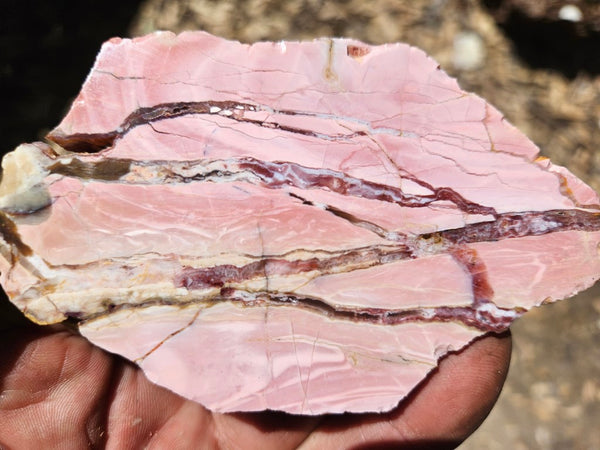 Polished Brecciated Pink Opal  slab POP182