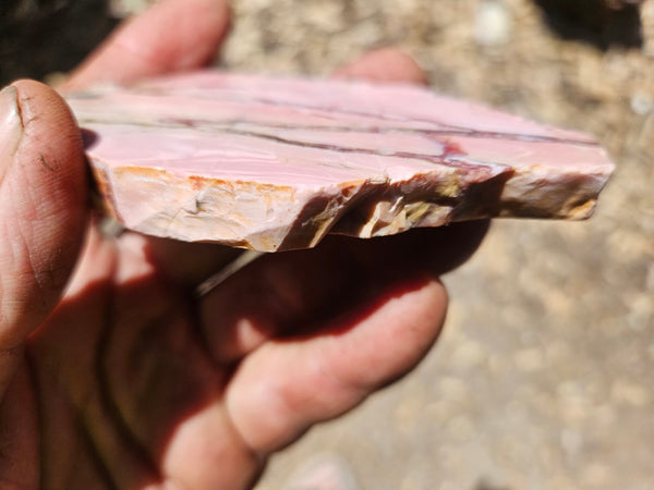 Polished Brecciated Pink Opal  slab POP182