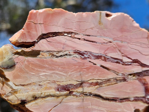 Polished Brecciated Pink Opal  slab POP182