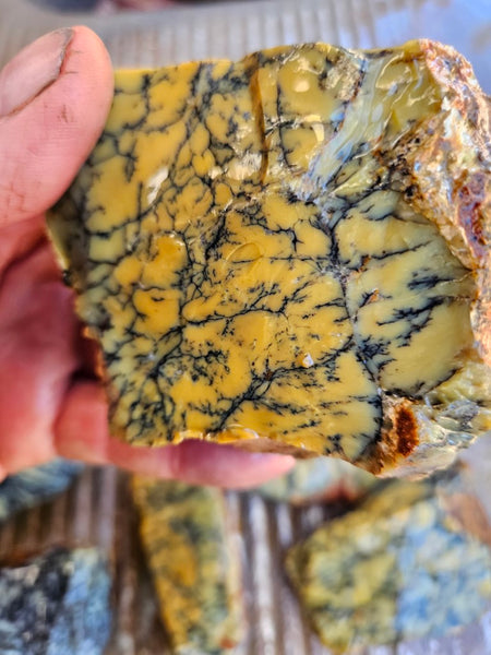 Dendritic Opal  rough.  DOR232