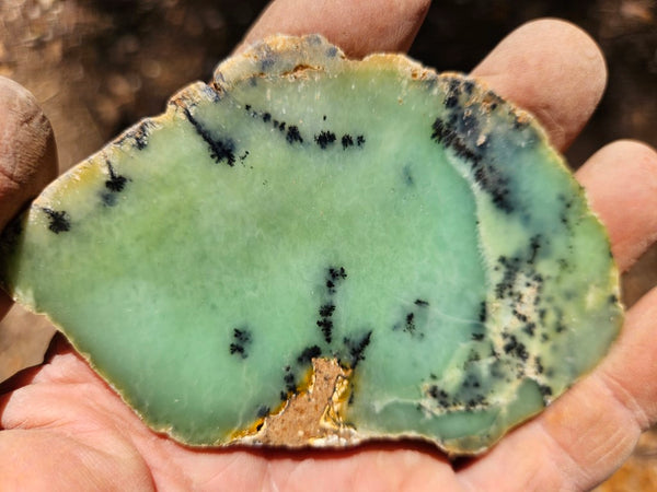 Polished Dendritic Chrysoprase slab CH451