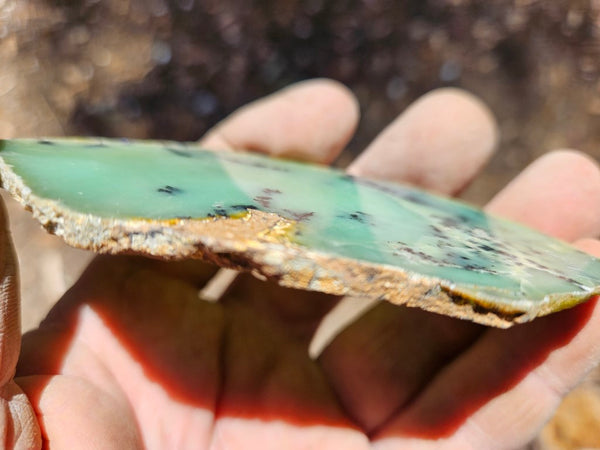 Polished Dendritic Chrysoprase slab CH451