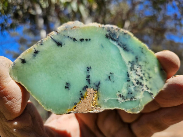 Polished Dendritic Chrysoprase slab CH451