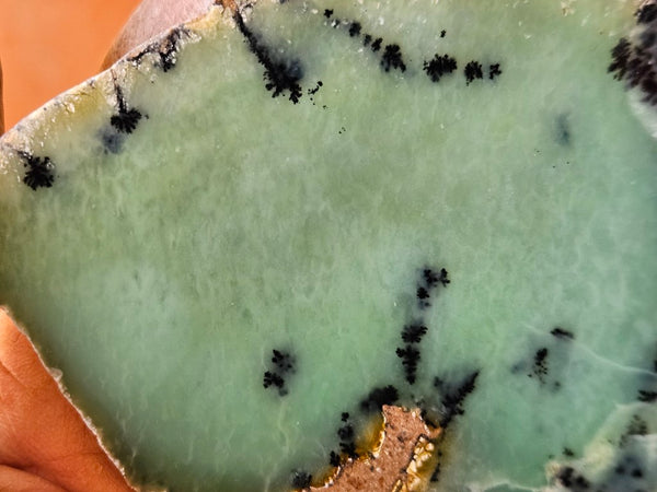 Polished Dendritic Chrysoprase slab CH451