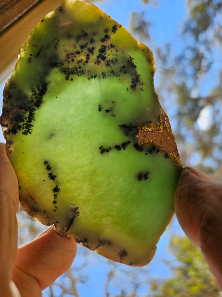 Polished Dendritic Chrysoprase slab CH451