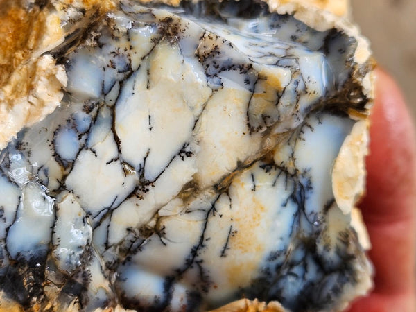 Dendritic Opal  rough.  DOR233