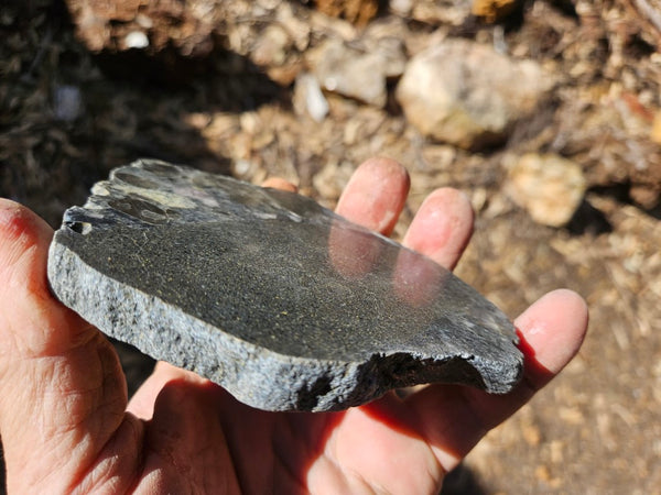 Polished Beaton's Creek auriferous conglomerate slab BC103