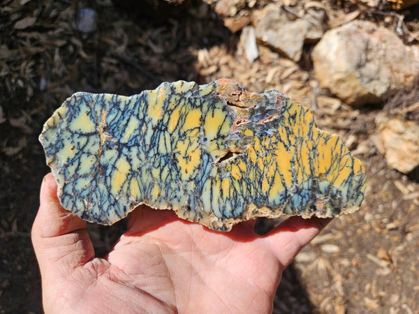 Polished Dendritic Opal slab DO193