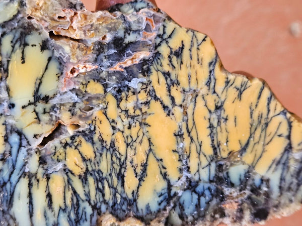 Polished Dendritic Opal slab DO193