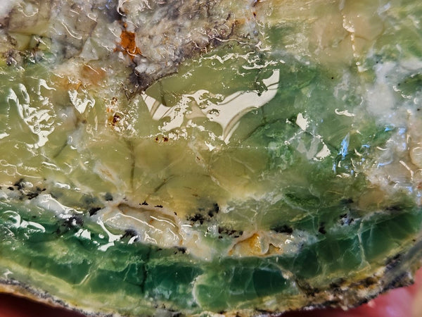 Green Opal  rough.  GOR 130