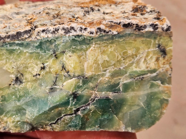 Green Opal  rough.  GOR 129