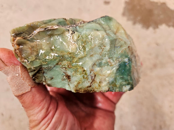 Green Opal  rough.  GOR 128