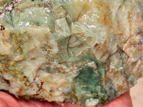 Green Opal  rough.  GOR 128