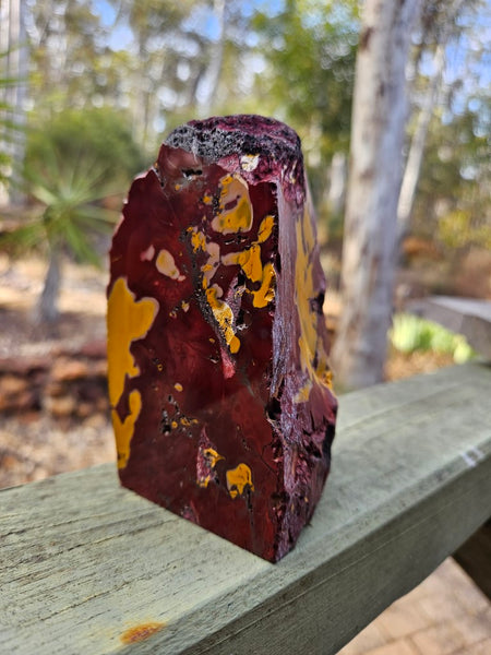 Polished Mookaite  MK449