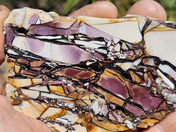 Polished Brecciated Mookaite slab BM304