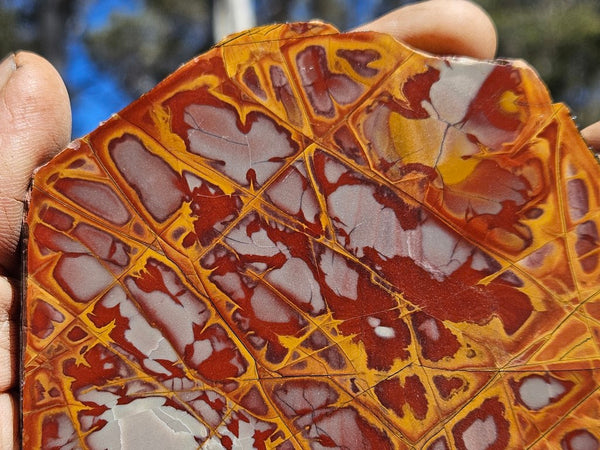 Polished Noreena Jasper slab. NJ453