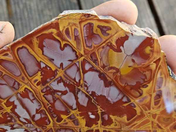 Polished Noreena Jasper slab. NJ453